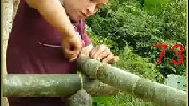 自制捕鱼工具 去捕获各种各样的鱼