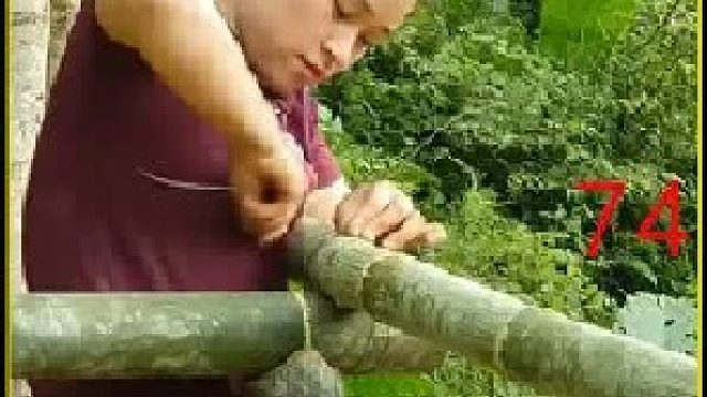 收获比拳头还大的南瓜 品尝南瓜花包肉