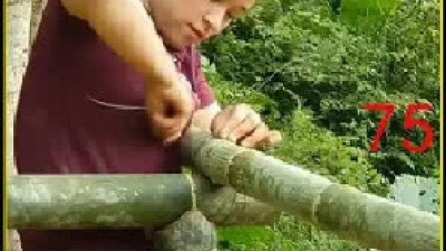 收获旱地稻 打磨成大米