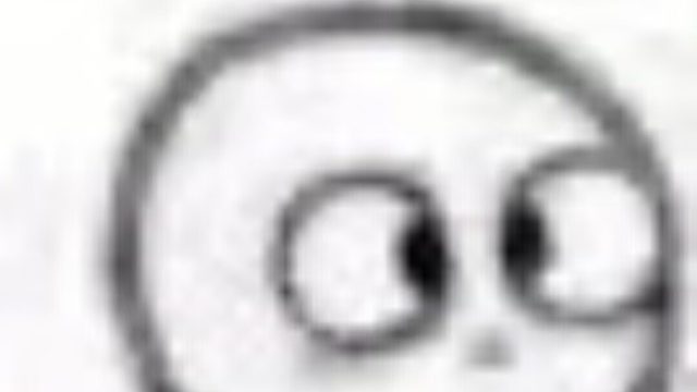 派派萌新欧服四人赛快乐躺鸡