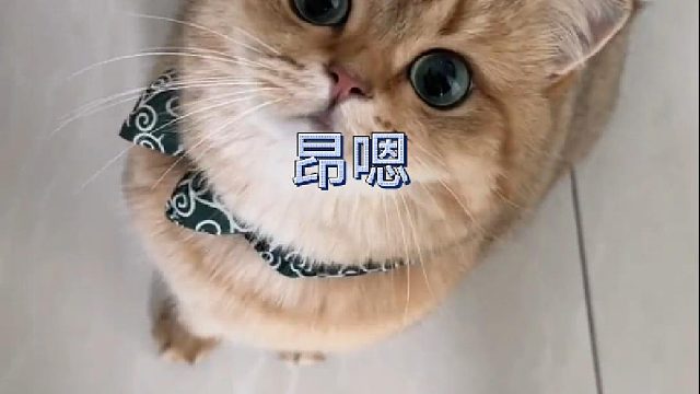 不知道的以为我俩便秘了