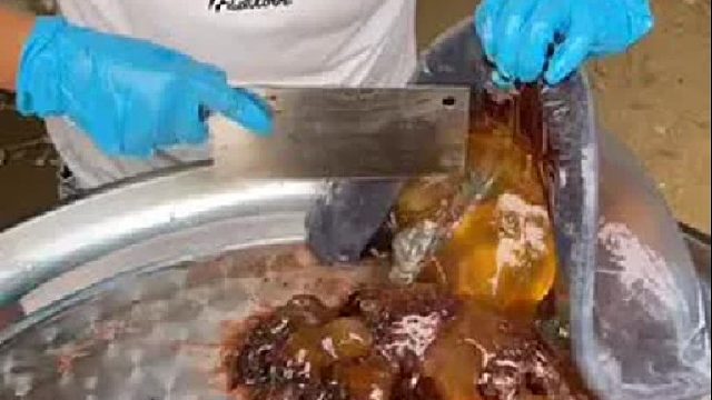 户外赶海抓海鲜