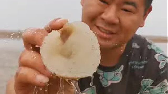 赶海赶海赶海啦