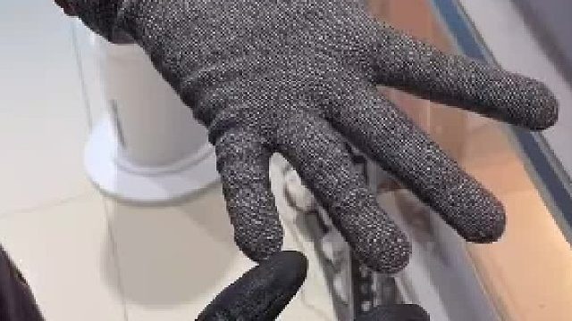 蜜袋鼯训练 一个不小心抢了小蜜的镜头，献丑啦