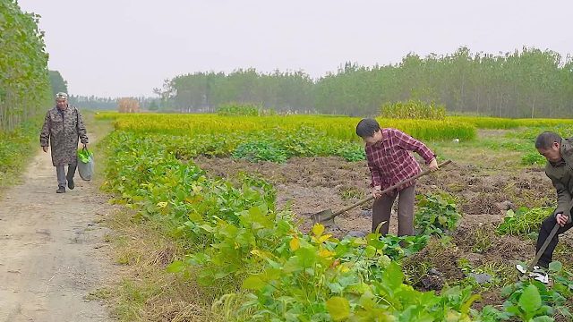 志明妈空着手参加生日宴，没想到最后赔了夫人又折兵！