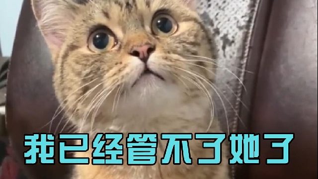 我已经管不了她了