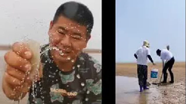 赶海赶海赶海啦