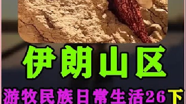 学会了如何在沙漠中寻找水源  (1)