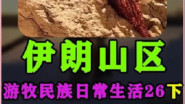 学会了如何在沙漠中寻找水源  (3)