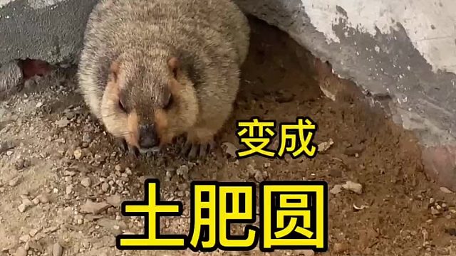 这就是旺旺雪饼的魔力。