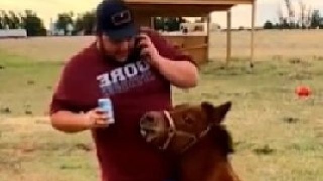 我这小暴脾气，看我不踢你，身体灵活的小短腿