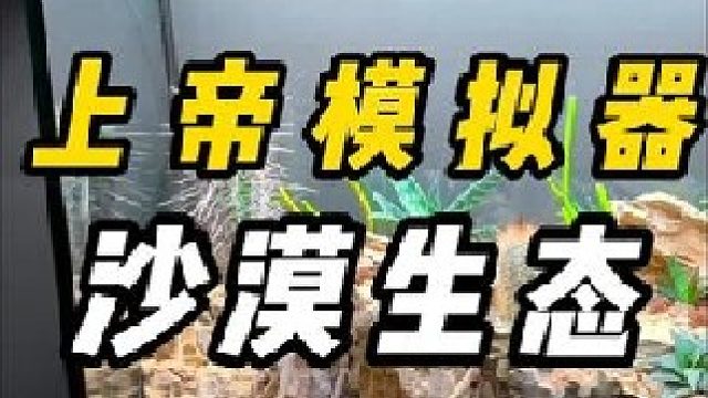 你以上帝的身份创造沙漠环境（这期有你们想看的）