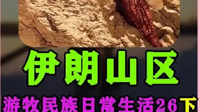 学会了如何在沙漠中寻找水源  (5)