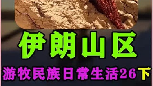 学会了如何在沙漠中寻找水源  (6)