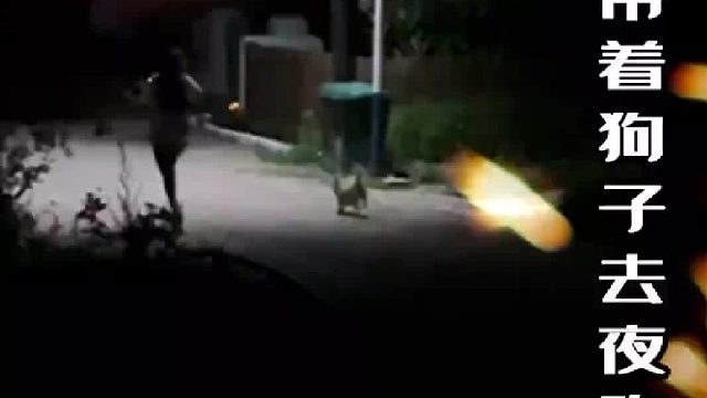 养狗的乐趣就是，它会在任何时间，陪你做任何事情