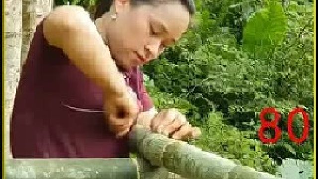 收获翠绿的黄瓜   采摘酸甜可口的青柠