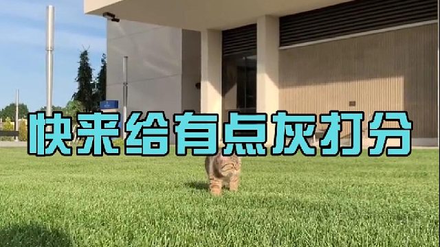 快来给有点灰打分