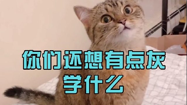 你们还想有点灰学什么