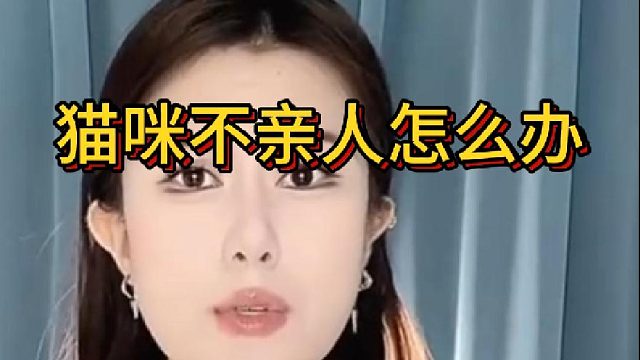 猫咪不亲人怎么办？一定是你没用这几招！