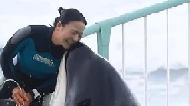 海豚是我们的好朋友