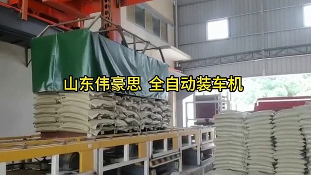 柠檬酸自动装车系统 全自动装车机非标定制