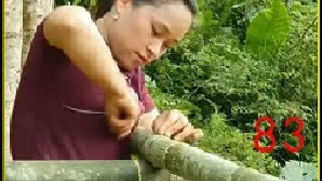 投喂鸭子  修整鸭窝 收获鸭蛋