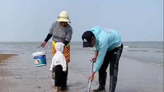 户外赶海抓海鲜