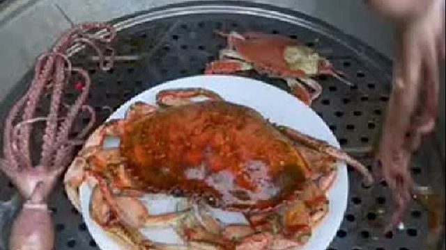 赶海赶海赶海啦