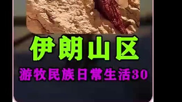 新的一天开始了他们的日常工作