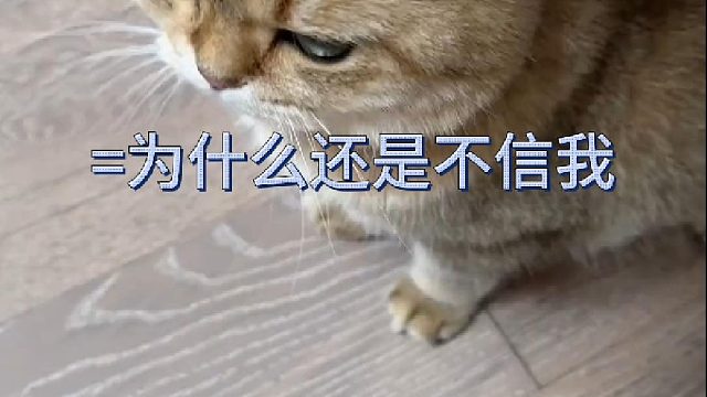 咯噔：我都说话了！为什么还是不信我