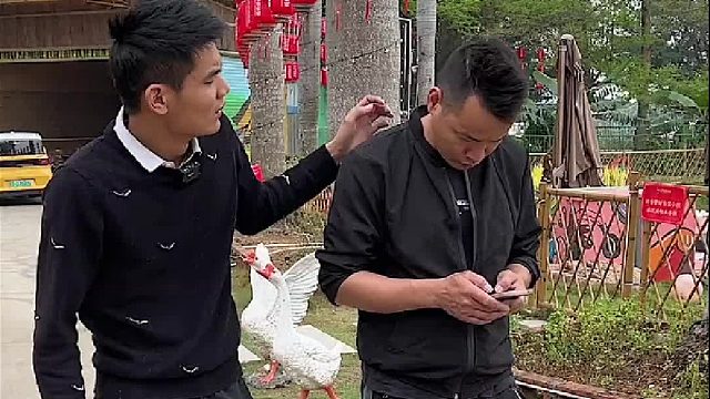 果然,有卧龙的地方一定有雏凤!