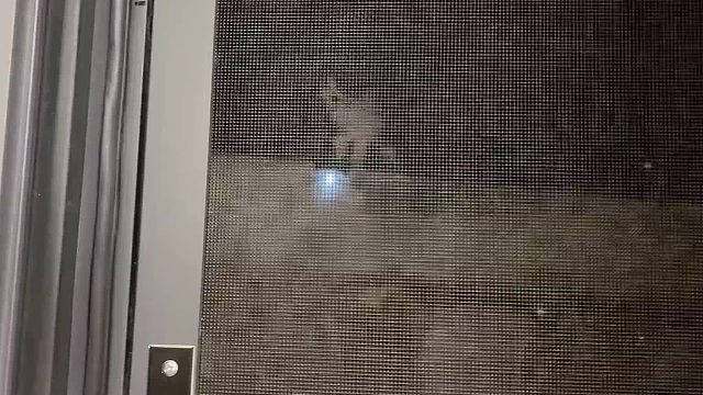 家人们，铁子来啦，这孩子真上食啊。