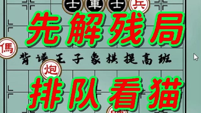 谁能解开此残局，可以排队看猫！