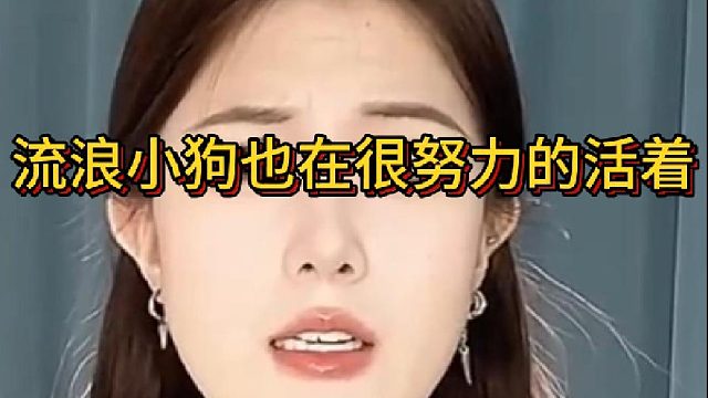 流浪小狗也在很努力的活着