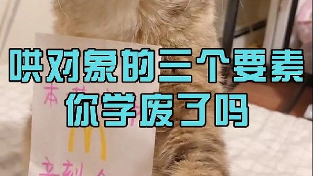 哄对象的三个要素你学废了