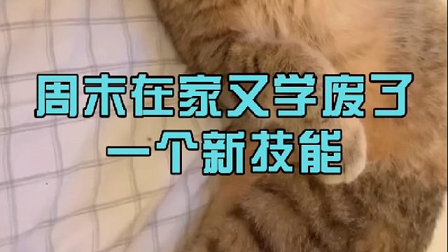 周末在家又学废了一个新技能