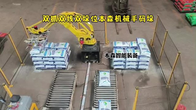 双抓双线双垛位本森机械手码垛