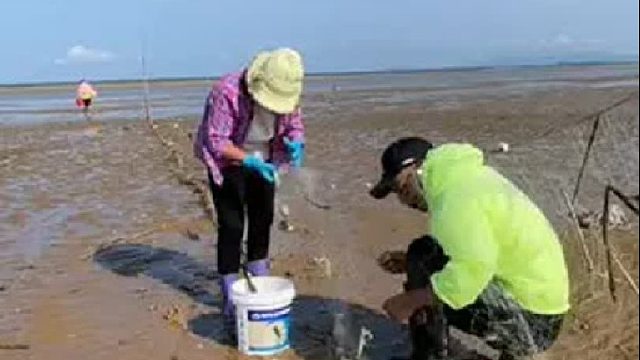 户外赶海抓海鲜