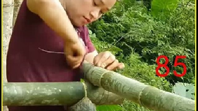 采摘柏布根 并带到集市出售