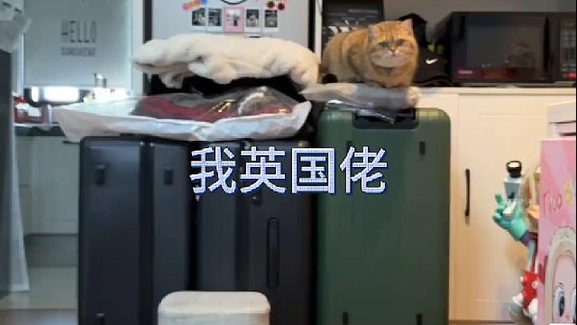 咯噔：我英国佬回不了老家？