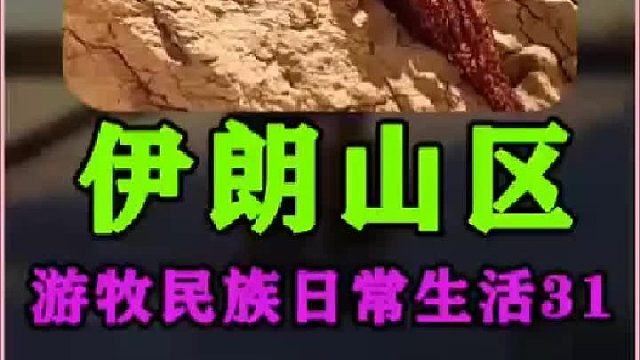 伊朗游牧民族日常生活 农村牧民婚礼  (2)