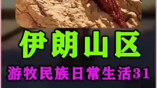 伊朗游牧民族日常生活 农村牧民婚礼  (3)