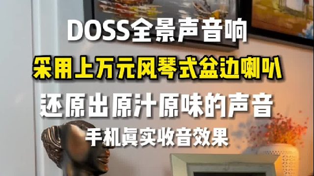 音箱声音好不好还得看喇叭用料足不足