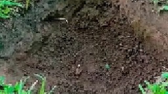 卖菜老板不会告诉你的囤菜小技巧！