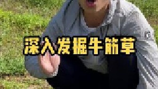 路边常见的牛筋草，没想到好处这么多。大家管它叫啥？