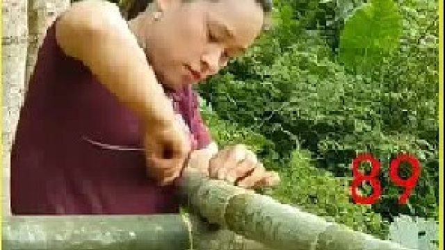 采摘一人多高的香蕉  饲养鸭子