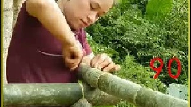 收获新鲜的胡萝卜 喂鸭溜达鸭跟猪崽崽