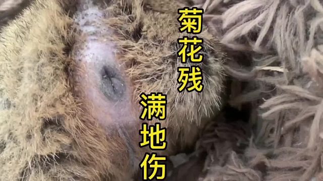 又是睡觉的一天。