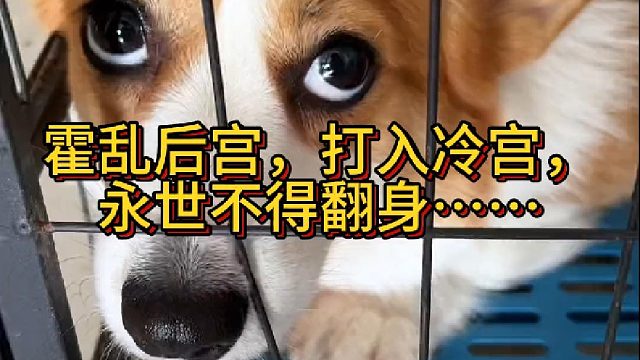 霍乱后宫，打入冷宫，永世不得翻身……