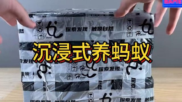 沉浸式养蚂蚁01